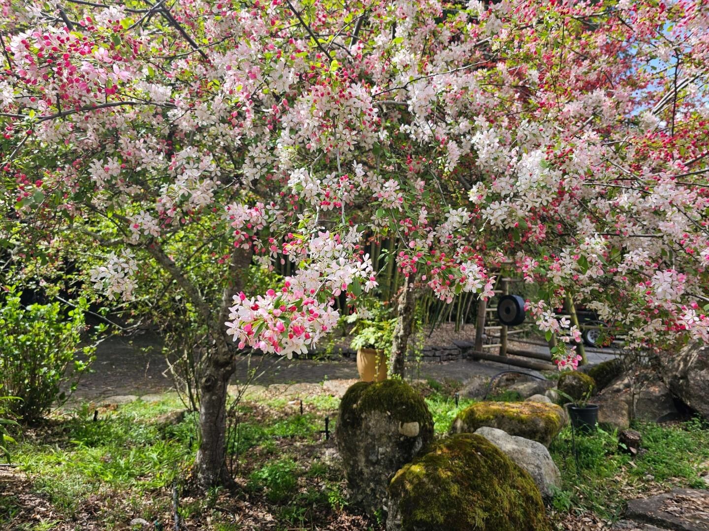 Property Photo:  5601 Freedom Boulevard  CA 95003 