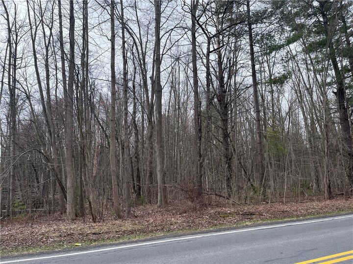 Property Photo:  0 Packwood Road  NY 13165 