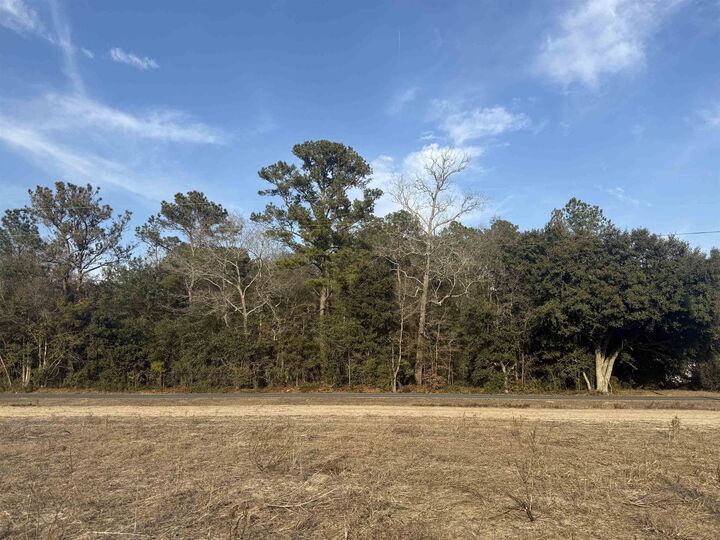 Property Photo:  120 Rough Horn Rd  NC 28438 