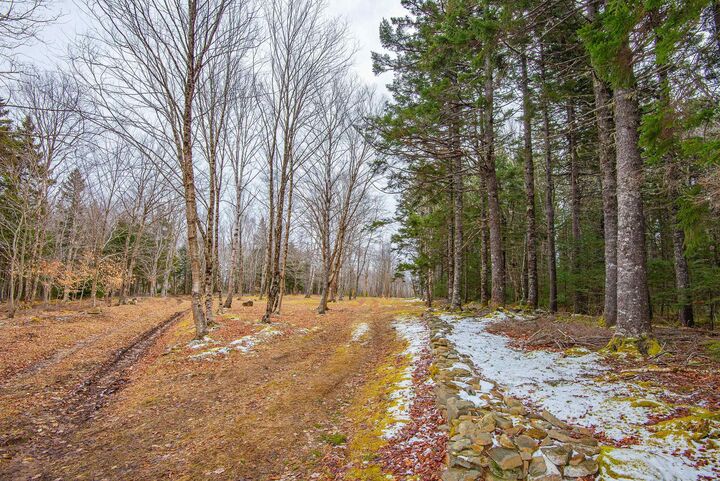 Property Photo:  Lot Peter Leblanc Road  NS B0W 2J0 