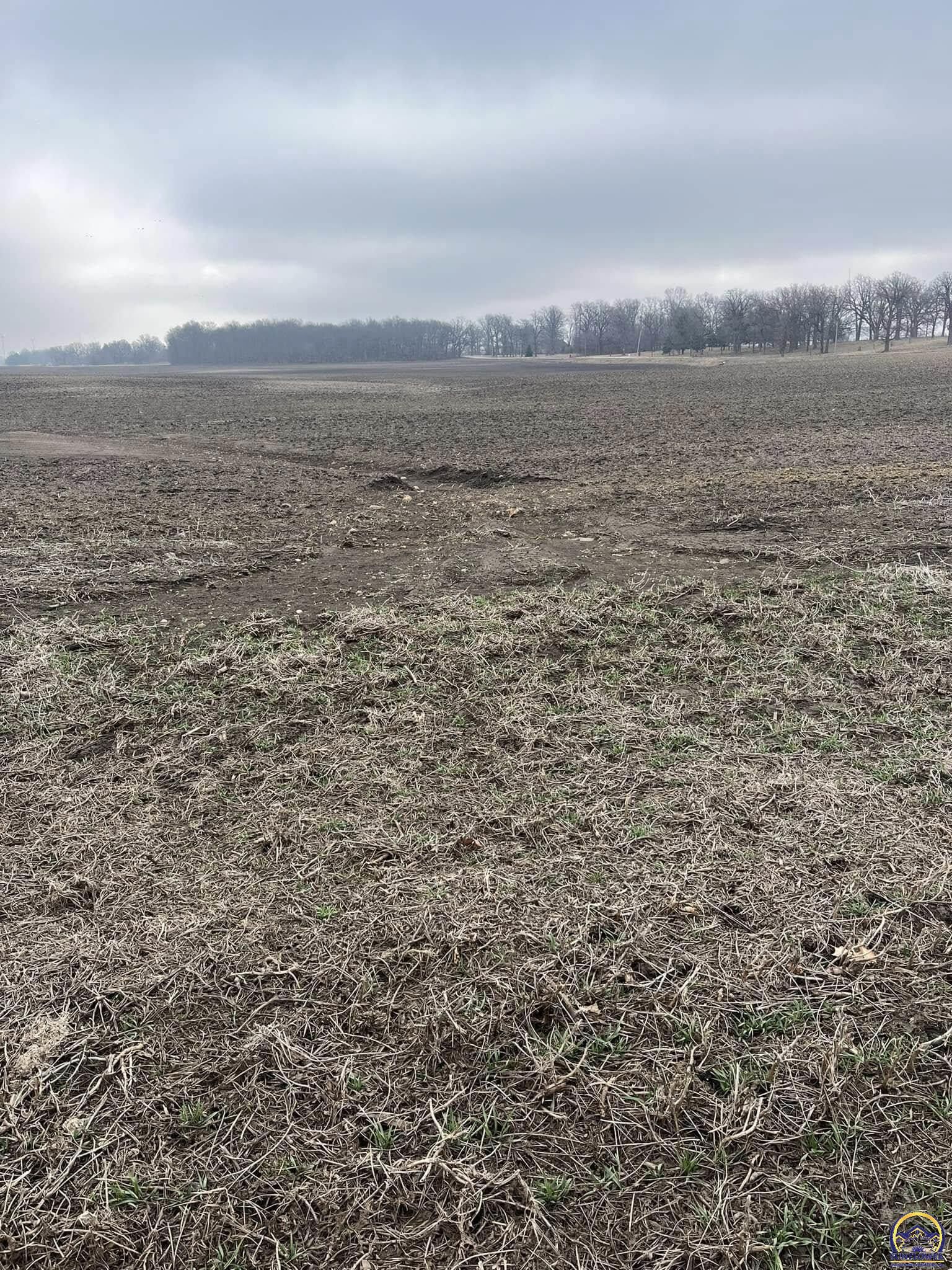 Property Photo:  300 N Owen St  KS 66512-9998 