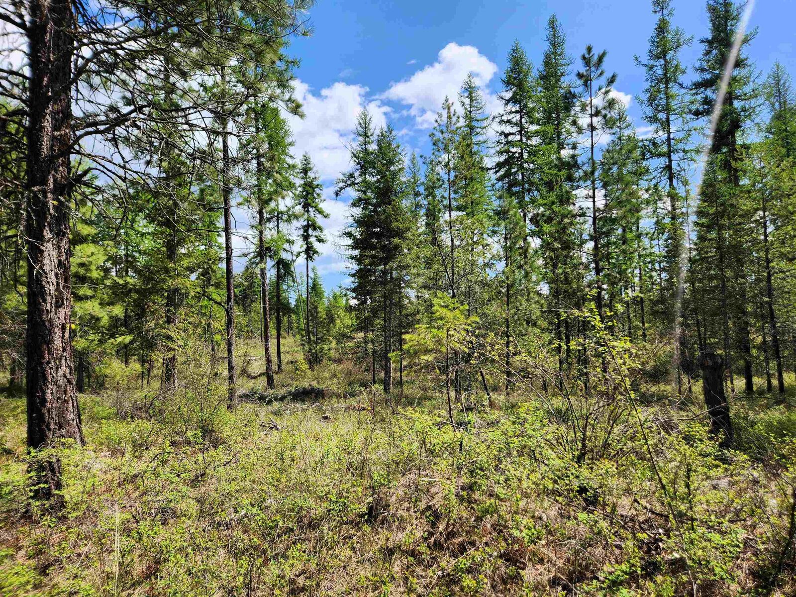 Property Photo:  3669 E Jump Off Joe Rd  WA 99181 