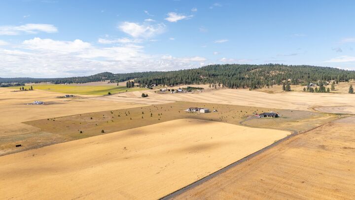 Property Photo: 24xxx N Spotted Rd WA 99006