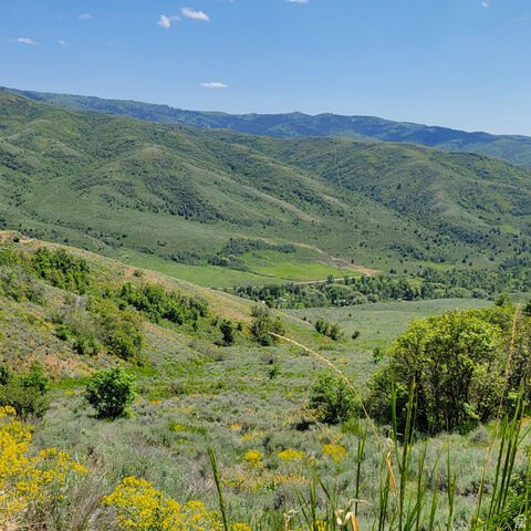 Property Photo:  12737 E High Pine Cir N 54  UT 84317 