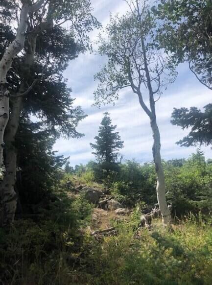 Property Photo:  18 Whispering Pines Road  UT 84767 