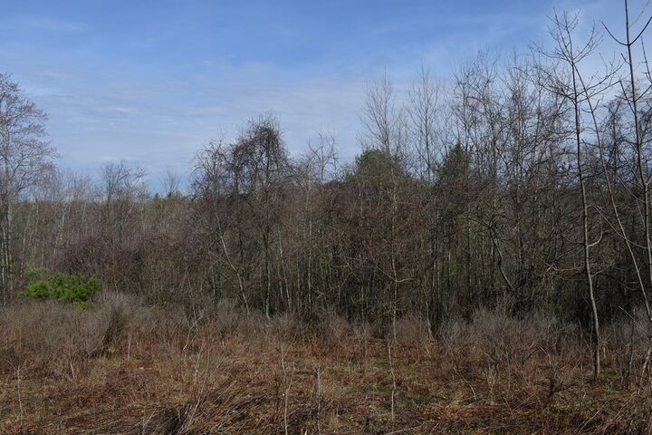 Property Photo:  0 Route 322  PA 16258 
