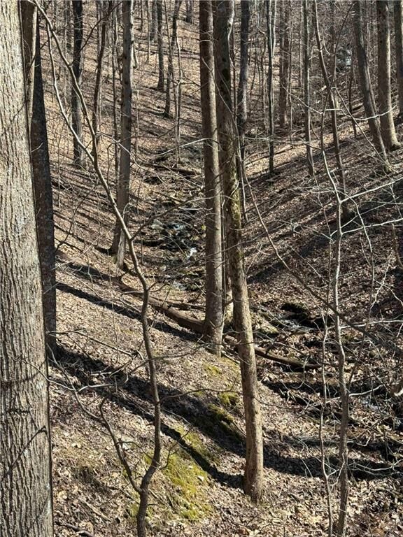 Property Photo:  3366 Crippled Oak Trail  GA 30143 