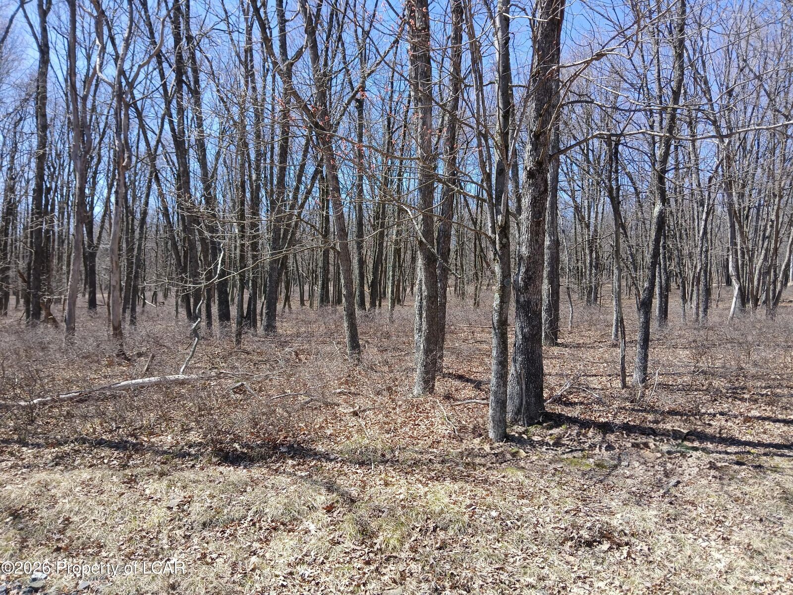 Property Photo: 108 Sweet Birch Drive PA 18202