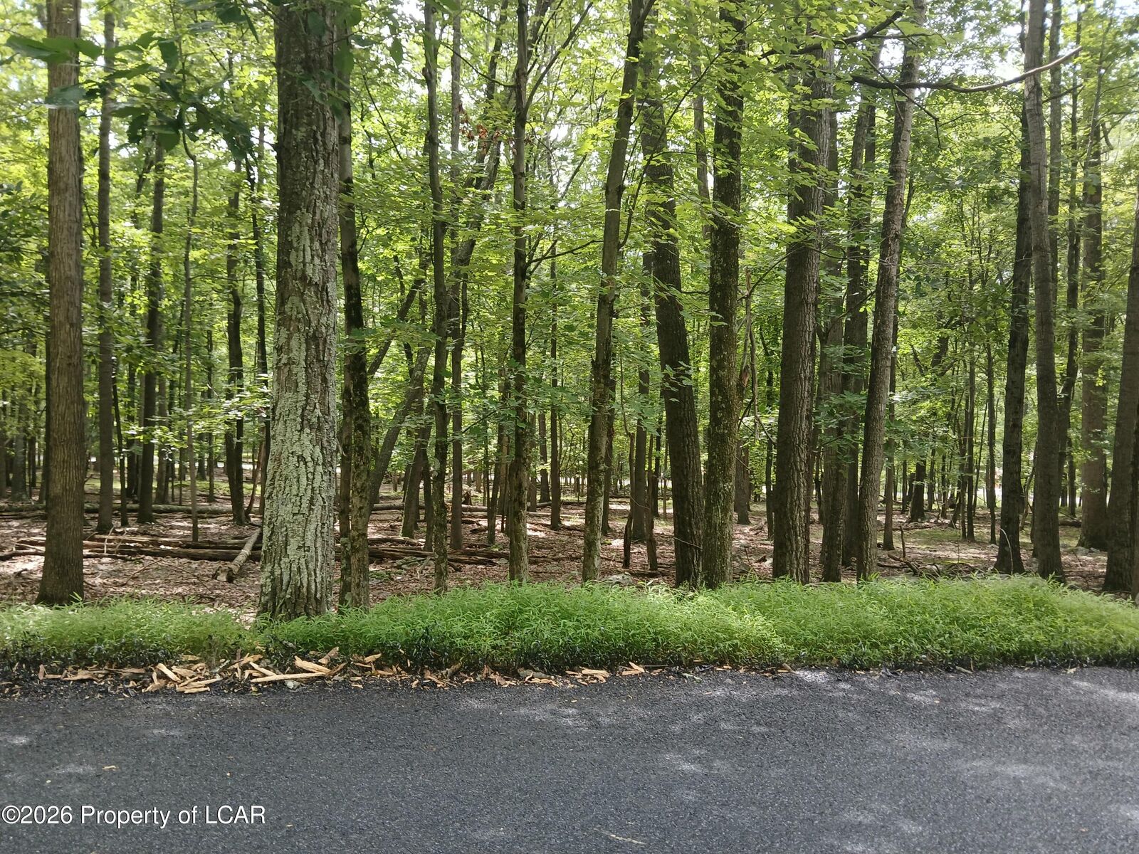 Property Photo:  108 Sweet Birch Drive  PA 18202 