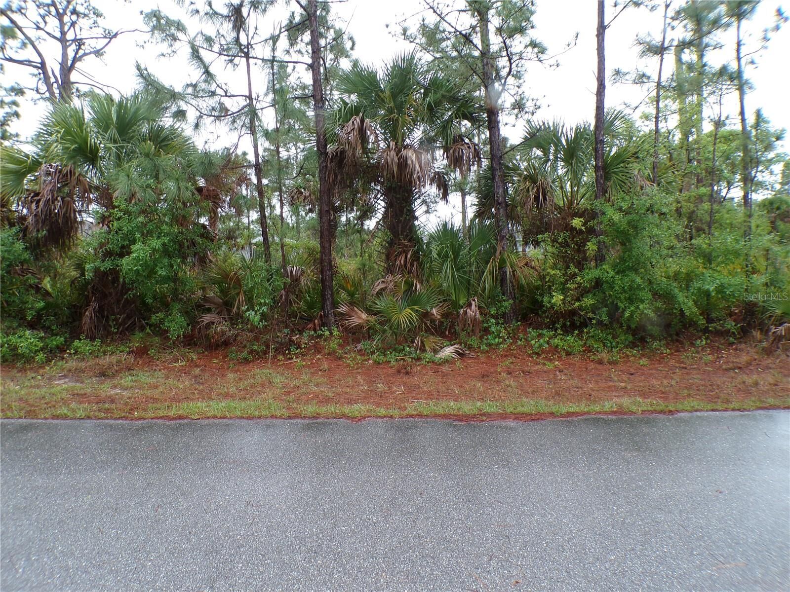 Property Photo:  14317 Harcourt Avenue  FL 33953 