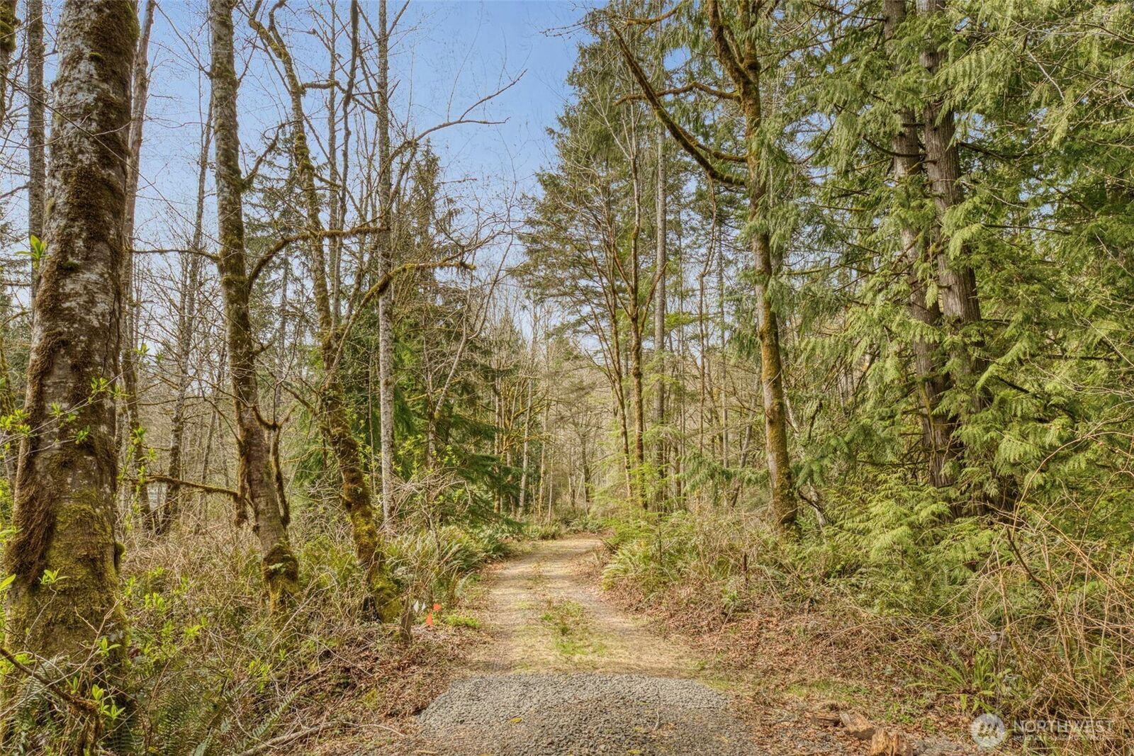 Property Photo: 435 NW Sword Fern Lane WA 98370
