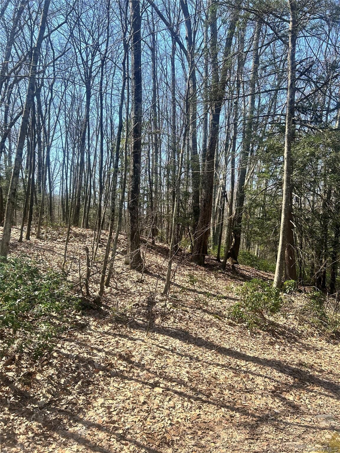 Property Photo:  Tbd Sidney Street  NY 12446 