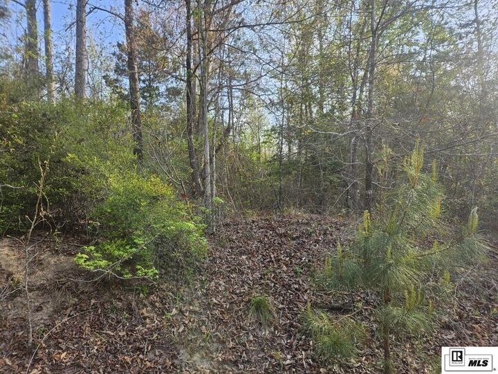 Property Photo: 0 Richard Linder Road LA 71225