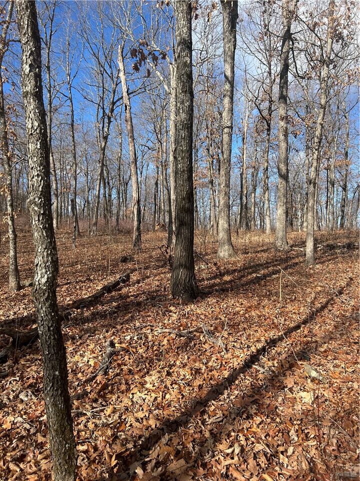 Property Photo: Madison 3605 AR 72742