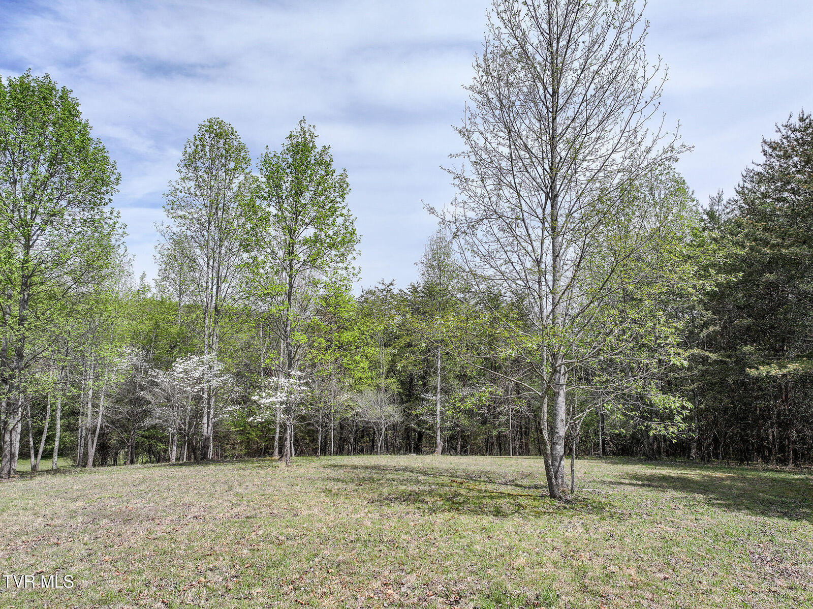 Property Photo:  255 West Old Kentucky Road  TN 37743 
