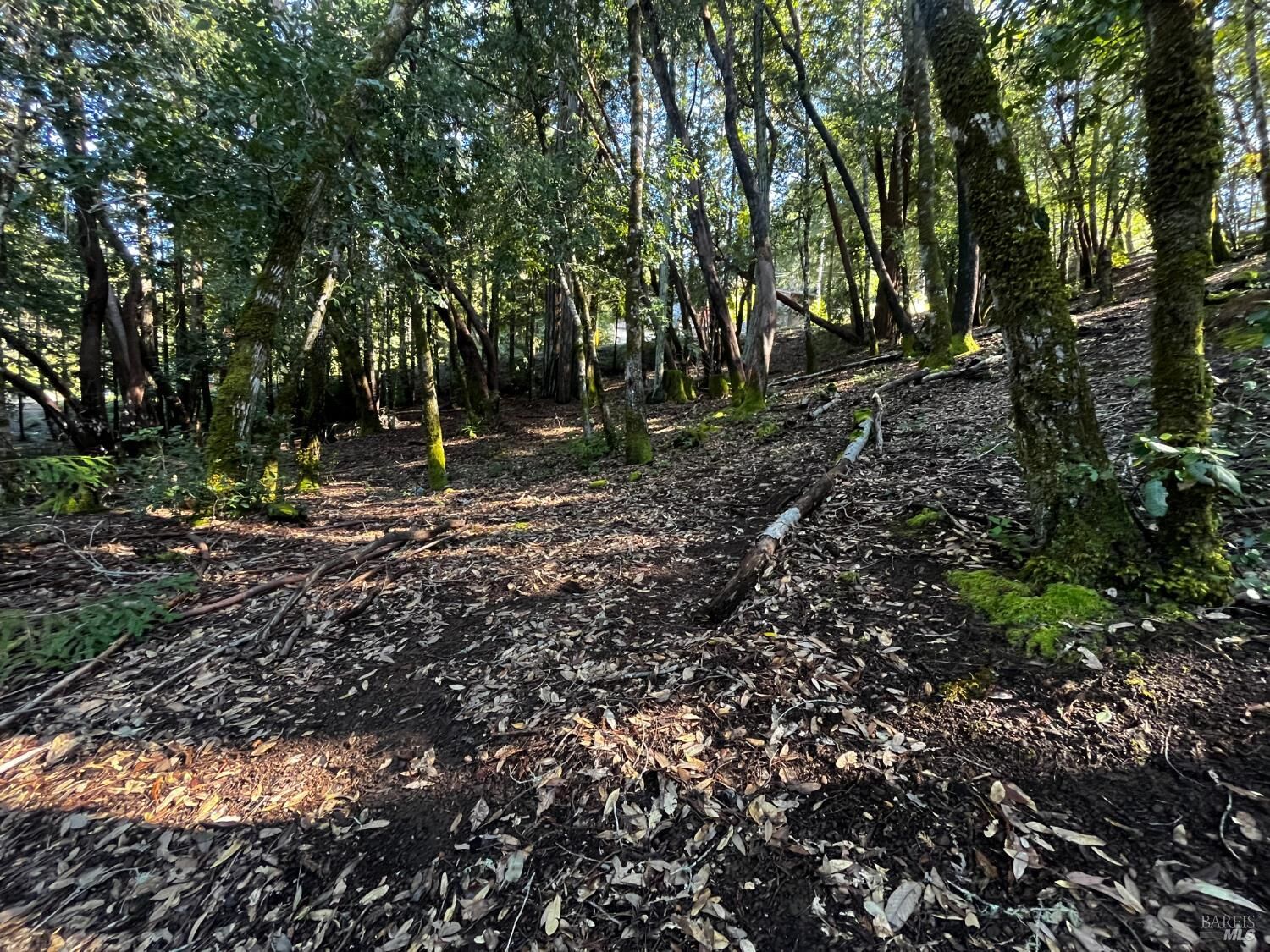Property Photo:  24278 Tulip Drive  CA 95490 
