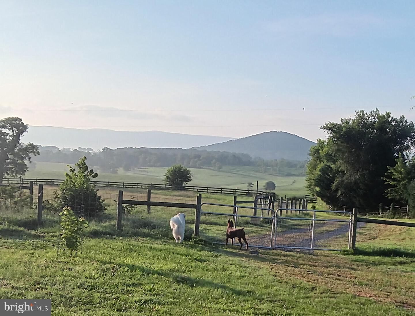 Property Photo:  867 Kibler Road  VA 22847 