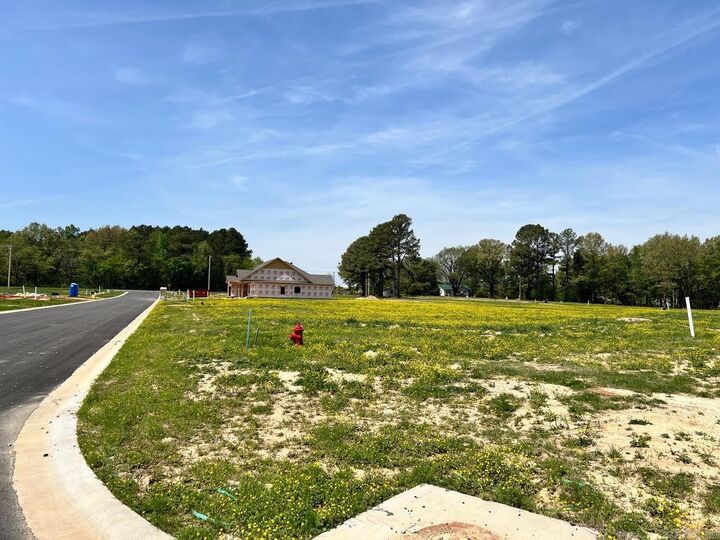 Property Photo:  111 Horseshoe Creek Drive  AR 72417 