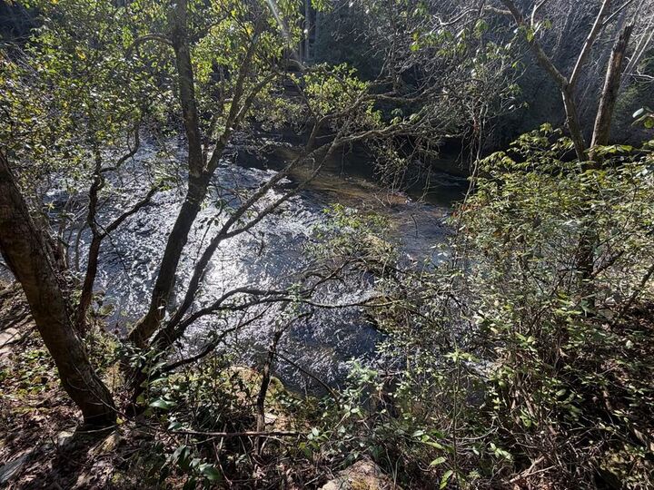 Property Photo: 0 Frogtown Place GA 30533