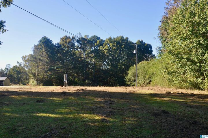 Property Photo:  481 County Road 1122 0  AL 35179 