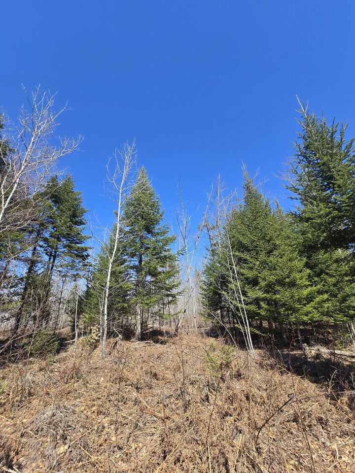 Property Photo:  00 Chadbourne Road  ME 04942 
