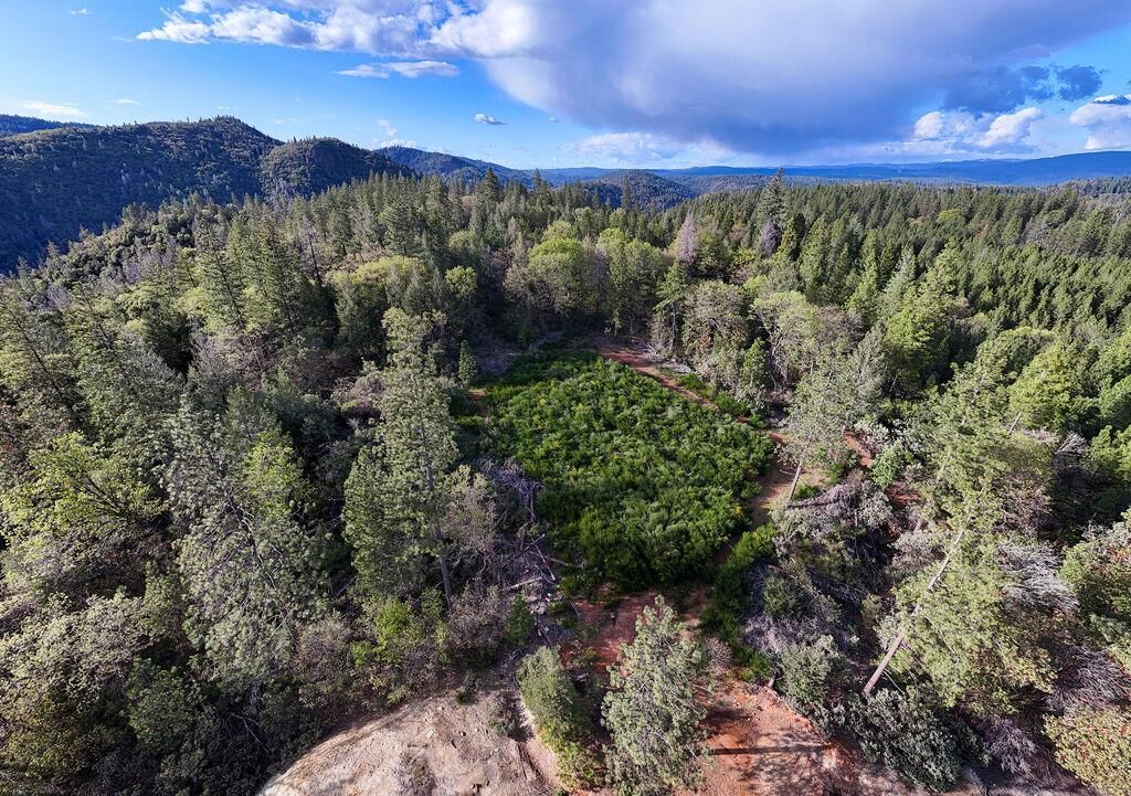 Property Photo:  11192 Sebastopol Road  CA 95960 