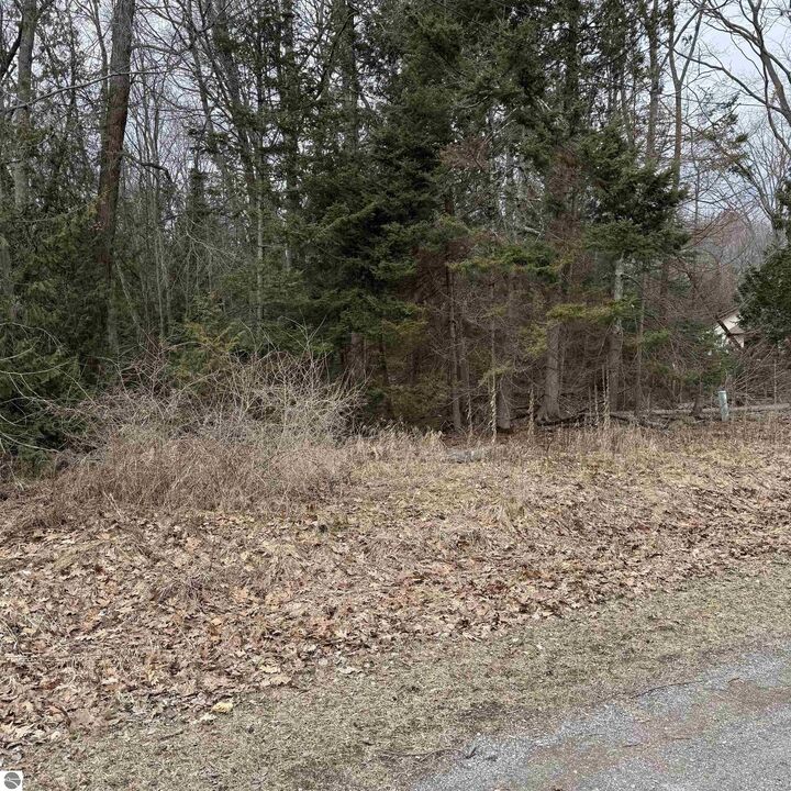 Property Photo:  Woodlea Road  MI 48750 