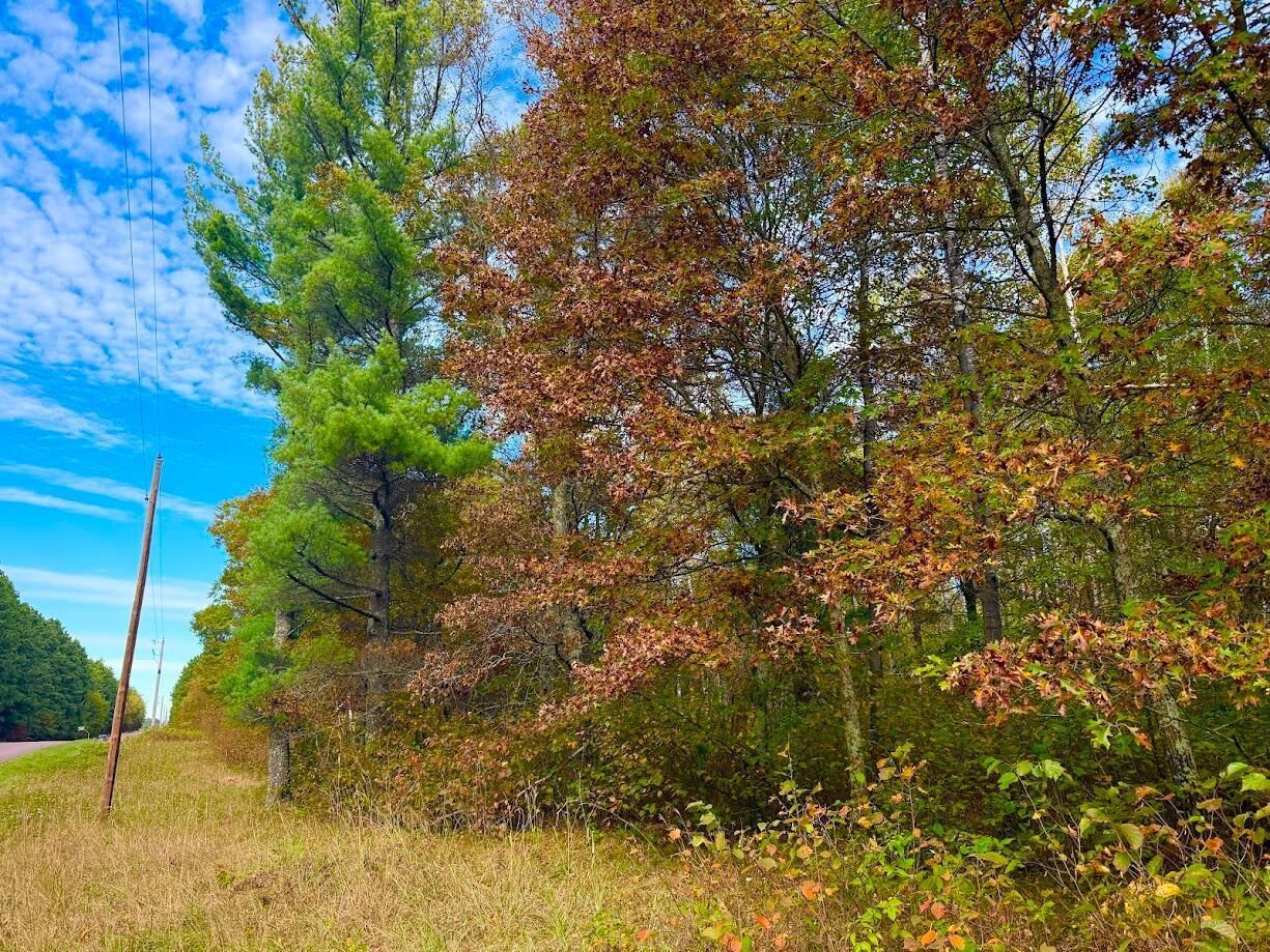 Property Photo:  Tbd Sunset Valley Road  MN 56468 