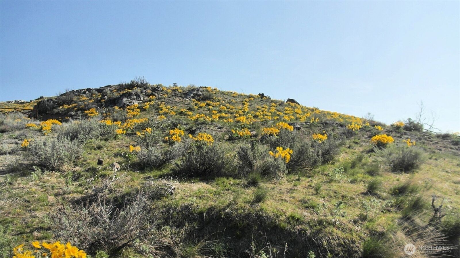 Property Photo: 33 Avery Road WA 98834