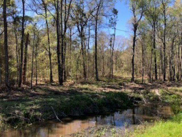 Property Photo:  620 Highway 62  TX 77632 