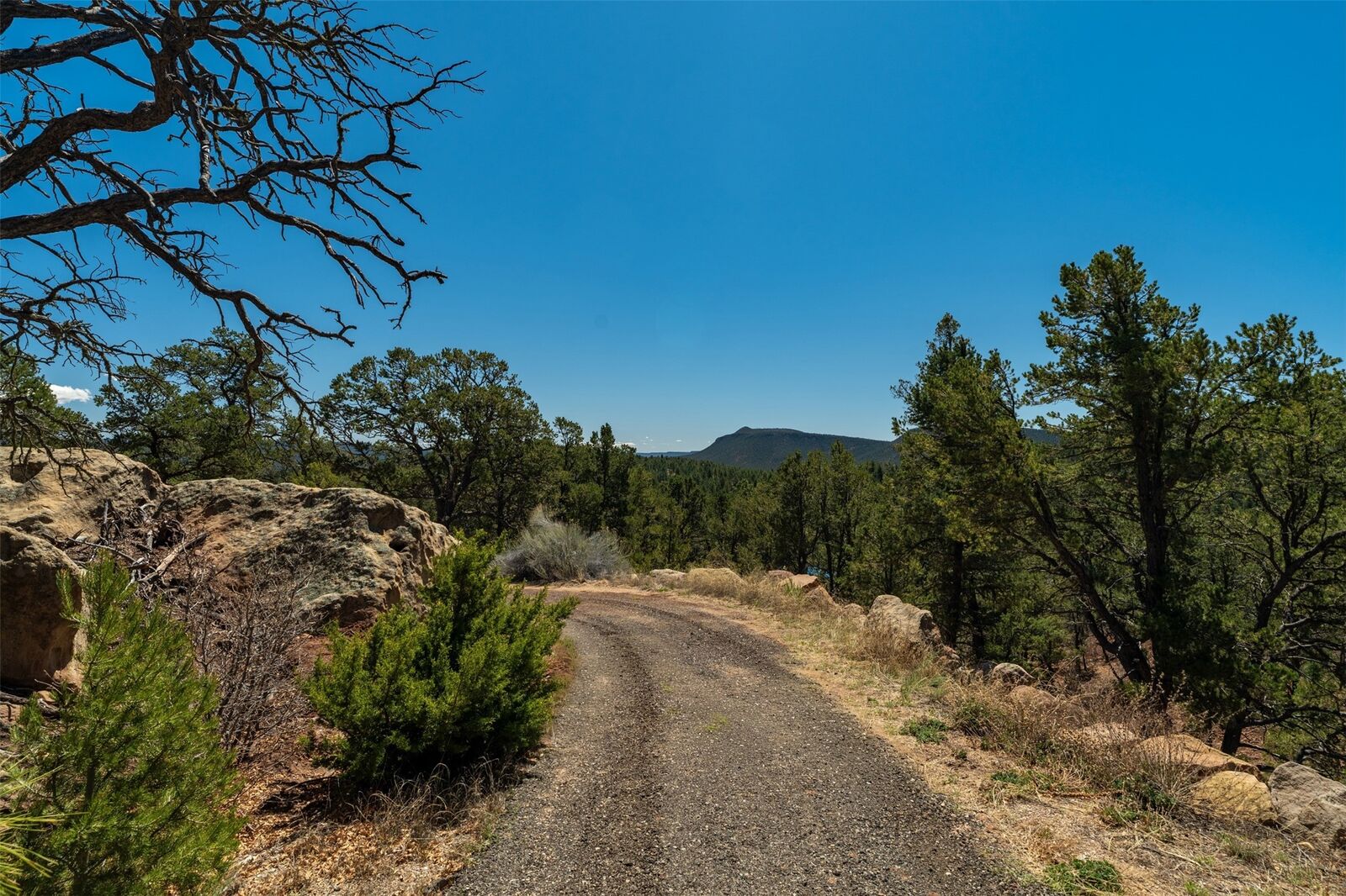 Property Photo: 30 Monte La Cueva Road NM 87535