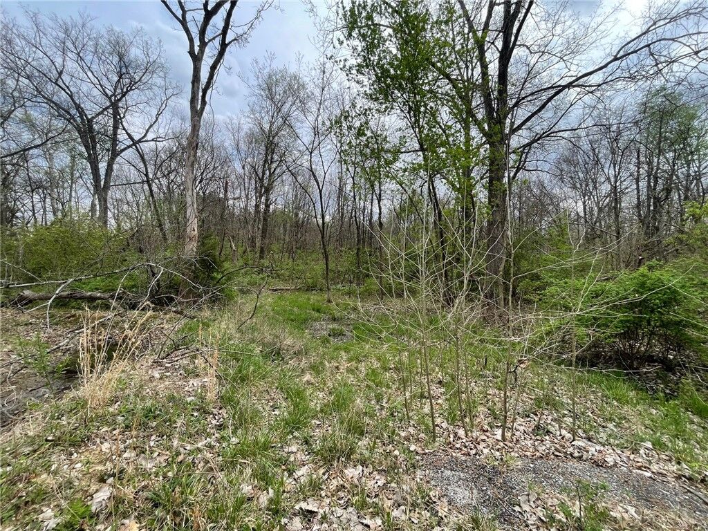 Property Photo:  Route 130 Street  IL 62428 
