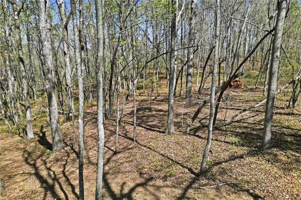Property Photo: 3094 Flatbottom Road GA 30107