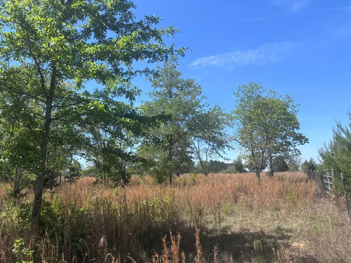 Property Photo:  5 Ac Kirkland Store Road  GA 31801 