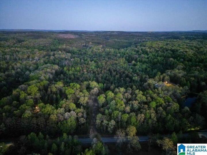 Property Photo:  456 County Road 65 0  AL 36262 