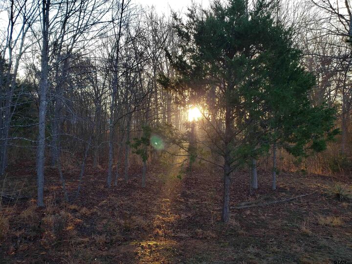 Property Photo:  20039 Cr 450  TX 75771 