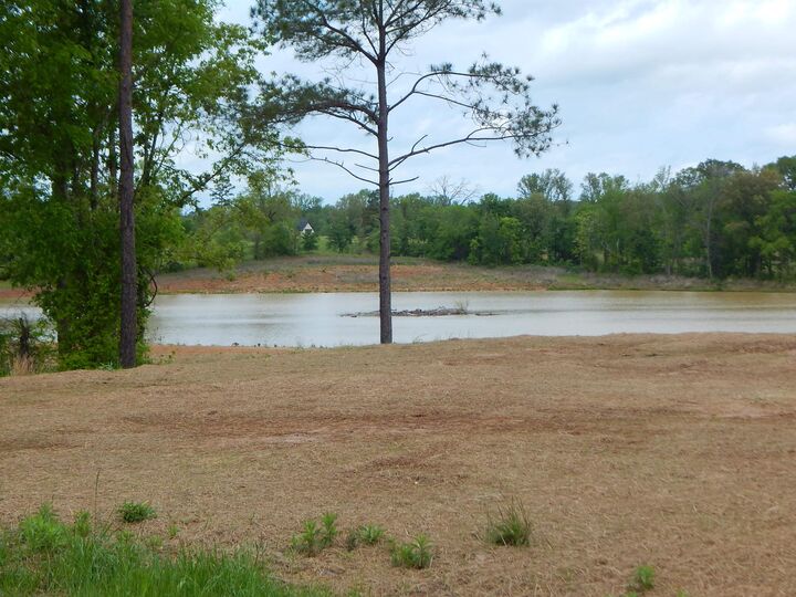 Property Photo: Tbd Cardinal Court TX 75640