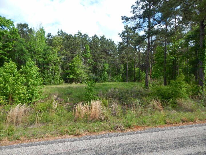 Property Photo:  Tbd Falcon View  TX 75640 