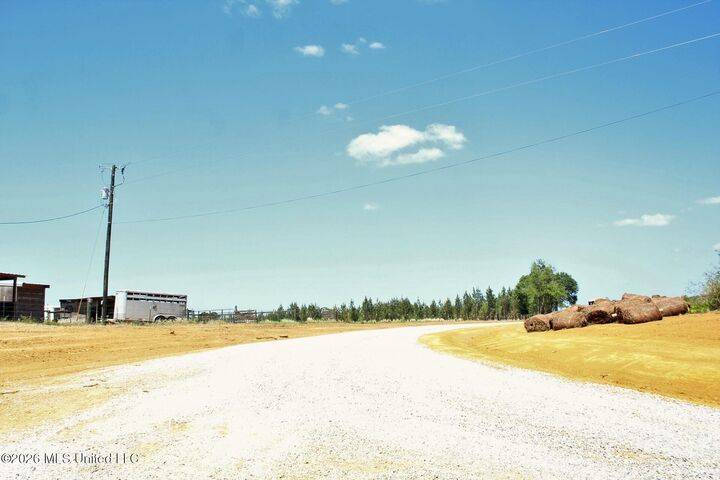 Property Photo:  6.01ac Little Cedar Road  MS 39452 