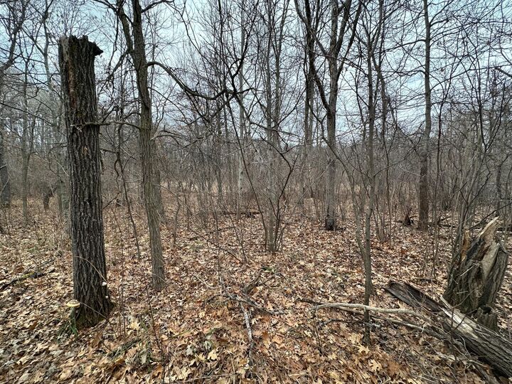 Property Photo:  Lot 25 County Rd 11  MN 56472 