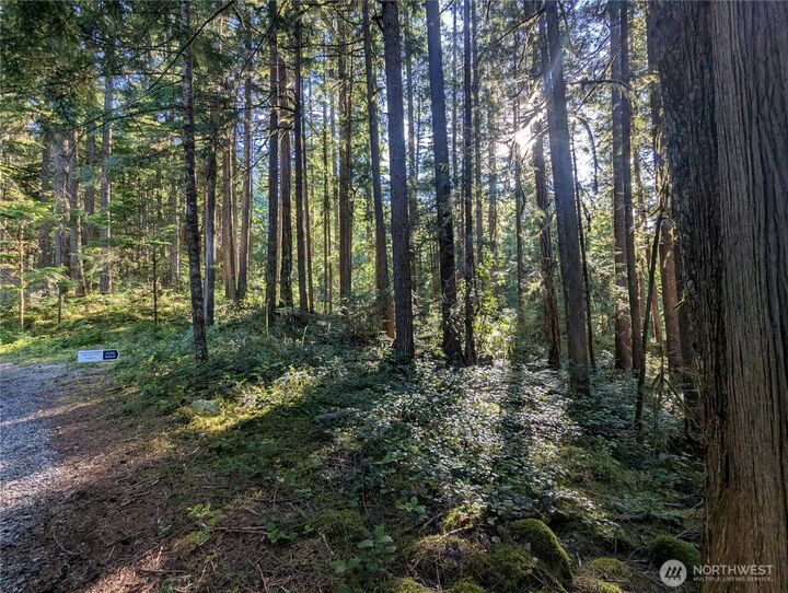 Property Photo: 66 Skagit Way WA 98267