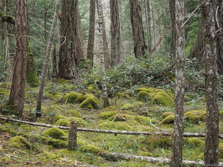 Property Photo:  Lot 88 Sockeye Dr  BC V0R 1X6 