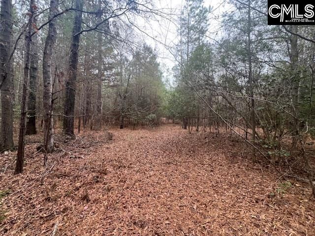 Property Photo:  1128 Tookie Doo  SC 29045 