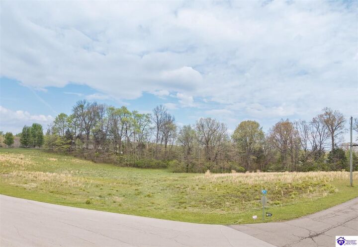 Property Photo:  0 Mayer Lane  KY 42701 