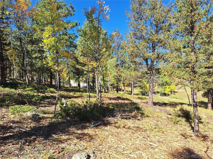 Property Photo:  1504 County Road 43  CO 80421 