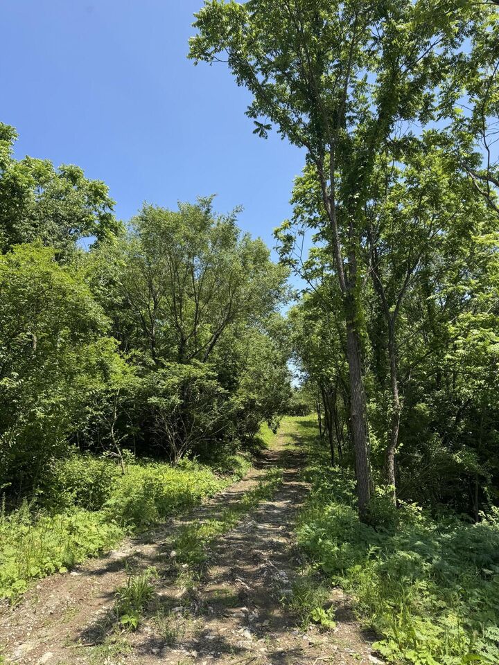 Property Photo:  Lot - East Drive  KY 40422 