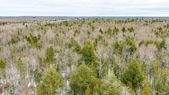 Property Photo:  Tbd Off M28 Road  MI 49925 