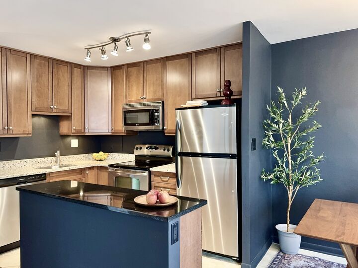 Property Photo:  360 W Wellington Avenue 15D  IL 60657 