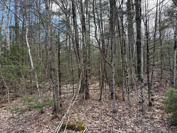 Property Photo:  864 Winslows Mills Road  ME 04572 