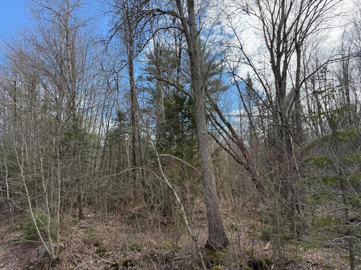 Property Photo:  872 Winslows Mills Road  ME 04572 
